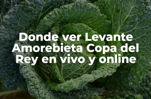 Donde Ver Levante Amorebieta Copa Del Rey en Vivo y Online