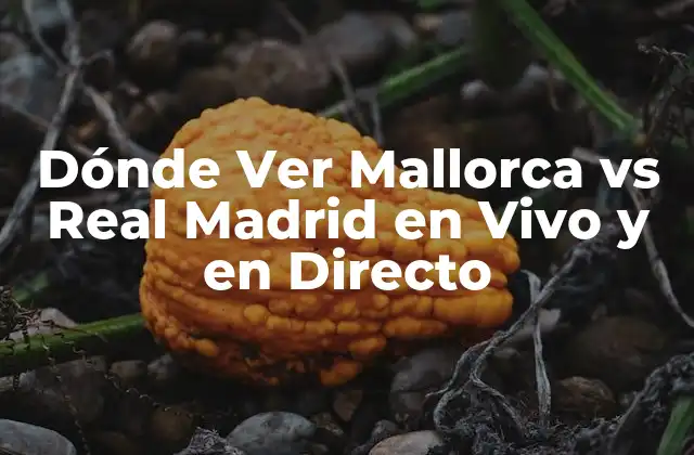 Dónde Ver Mallorca Vs Real Madrid en Vivo y en Directo
