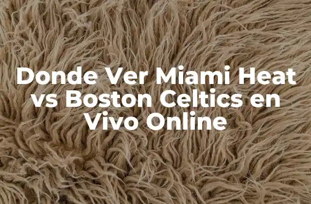 Donde Ver Miami Heat Vs Boston Celtics en Vivo Online