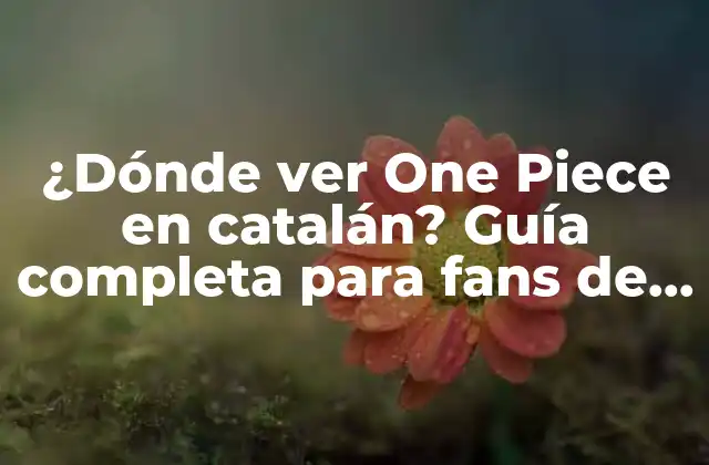¿dónde Ver One Piece en Catalán? Guía Completa para Fans de la Serie de Anime