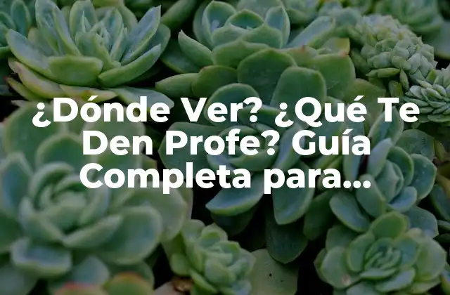 ¿dónde Ver? ¿qué Te Den Profe? Guía Completa para Encontrar un Buen Profesor