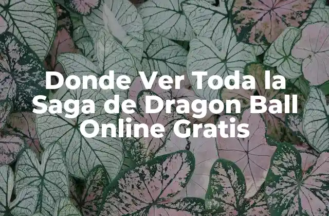 Donde Ver Toda la Saga de Dragon Ball Online Gratis
