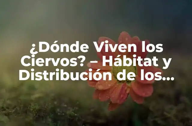 ¿dónde Viven los Ciervos? – Hábitat y Distribución de los Ciervos en el Mundo