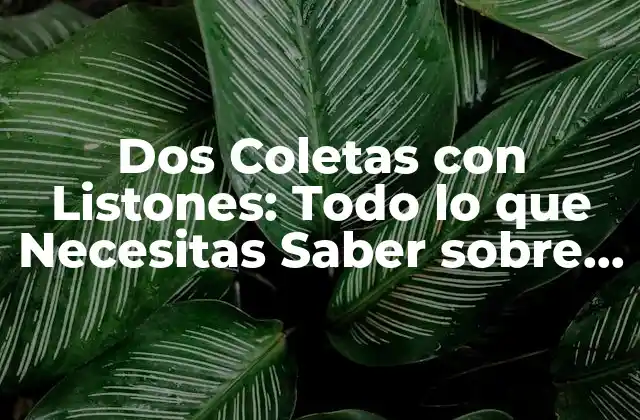 Dos Coletas con Listones: Todo Lo que Necesitas Saber sobre Este Estilismo de Pelo