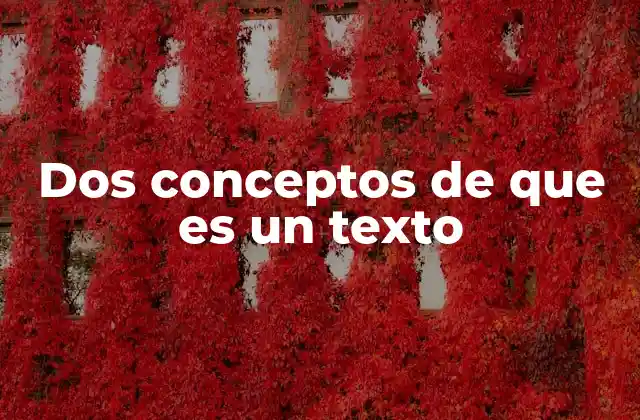 Dos Conceptos de que es un Texto