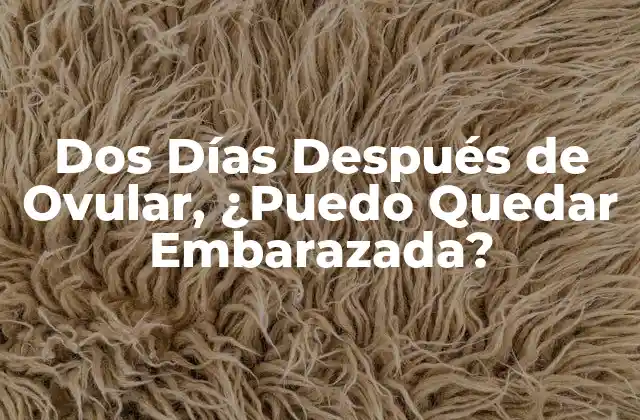 Dos Días Después de Ovular, ¿puedo Quedar Embarazada?