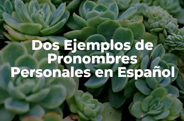 Dos Ejemplos de Pronombres Personales en Español 2 ¿Qué son los Pronombres Personales?