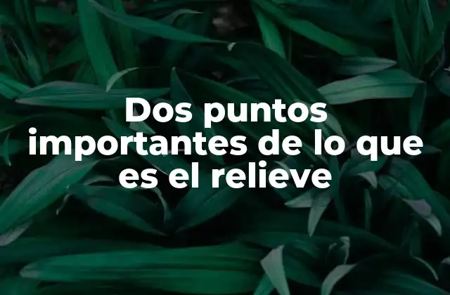 Dos Puntos Importantes de Lo que es el Relieve