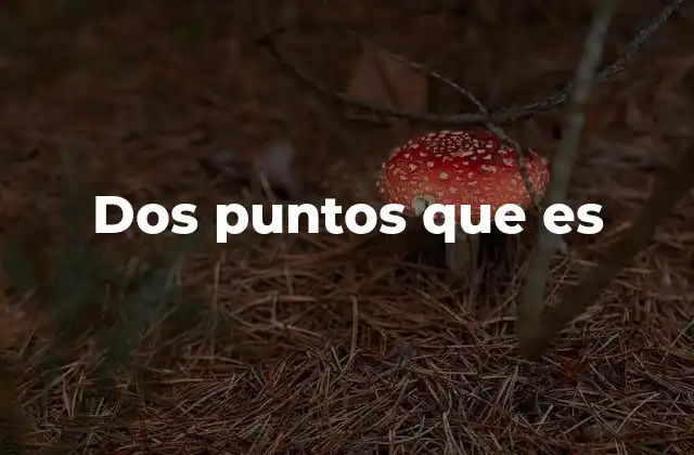 Dos Puntos que es