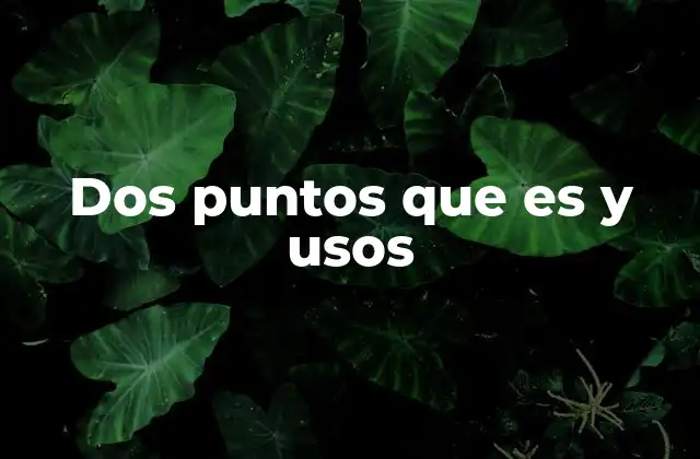 Dos Puntos que es y Usos