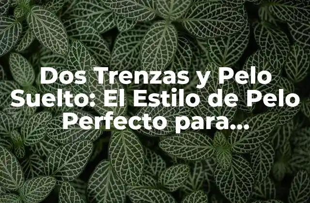 Dos Trenzas y Pelo Suelto: el Estilo de Pelo Perfecto para Cualquier Ocasion