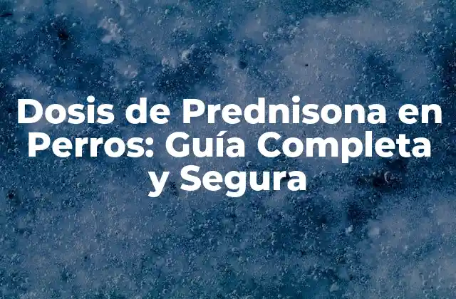 Dosis de Prednisona en Perros: Guía Completa y Segura
