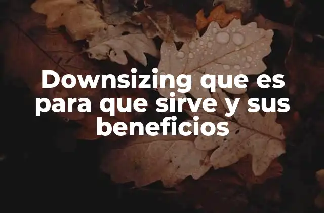 Cómo el downsizing impacta en la estructura empresarial