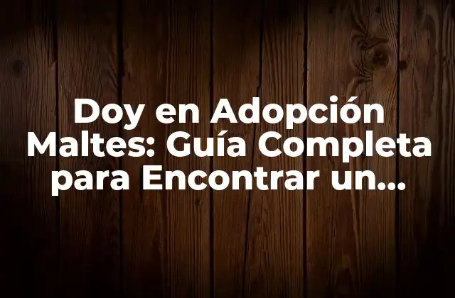 Doy en Adopción Maltes: Guía Completa para Encontrar un Nuevo Hogar