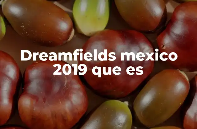 Dreamfields Mexico 2019 que es