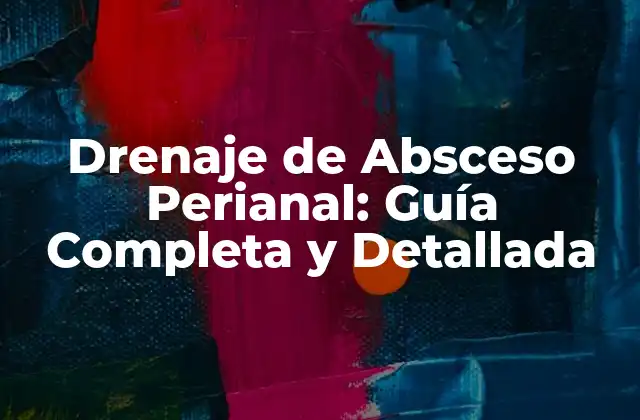 Drenaje de Absceso Perianal: Guía Completa y Detallada