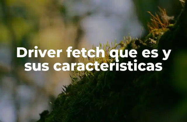 Driver Fetch que es y Sus Caracteristicas