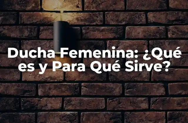 Ducha Femenina: ¿qué es y para Qué Sirve?