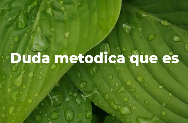 Duda Metodica que es