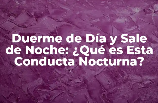Duerme de Día y Sale de Noche: ¿qué es Esta Conducta Nocturna?