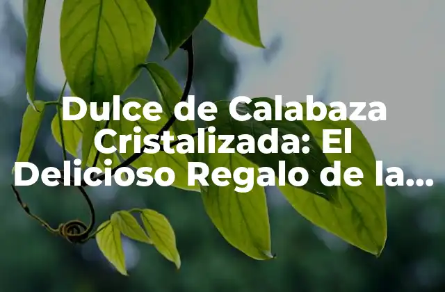 Dulce de Calabaza Cristalizada: el Delicioso Regalo de la Naturaleza