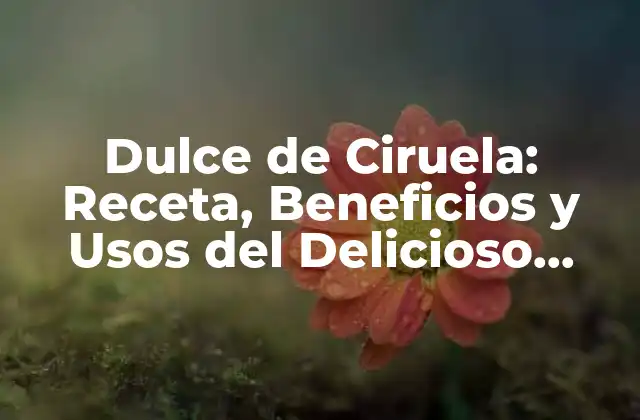 Dulce de Ciruela: Receta, Beneficios y Usos Del Delicioso Dulce