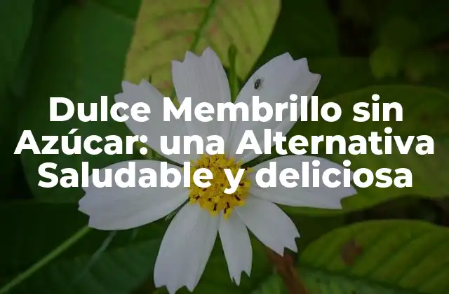 Dulce Membrillo sin Azúcar: una Alternativa Saludable y Deliciosa 2 ¿Qué es el Membrillo?
