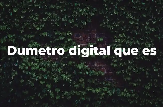 Dumetro Digital que es
