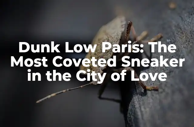 Dunk Low Paris: The Most Coveted Sneaker In The City Of Love