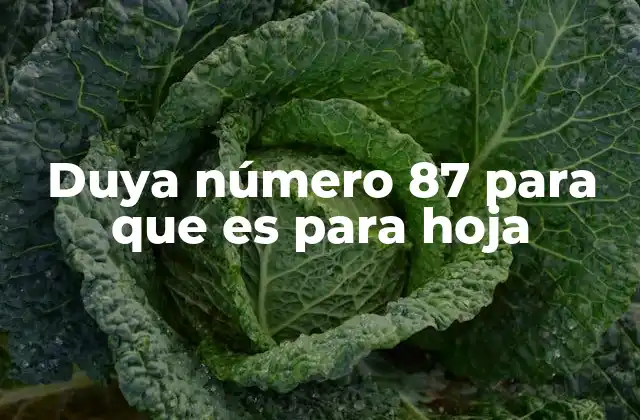 Duya Número 87 para que es para Hoja