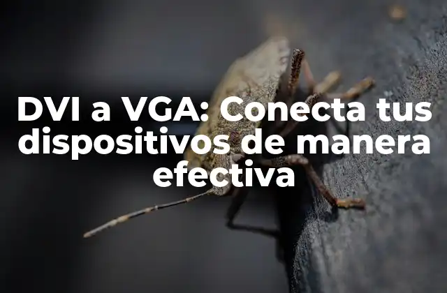 Dvi a Vga: Conecta Tus Dispositivos de Manera Efectiva