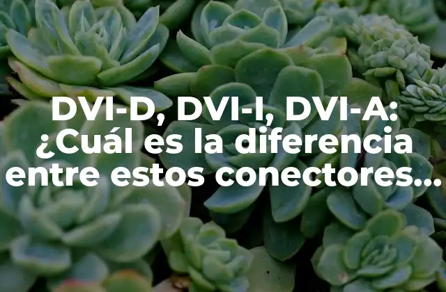 Dvi-d, Dvi-i, Dvi-a: ¿cuál es la Diferencia entre Estos Conectores de Video?