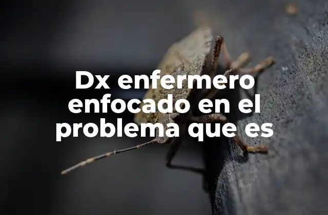 Dx Enfermero Enfocado en el Problema que es