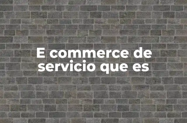 E Commerce de Servicio que es