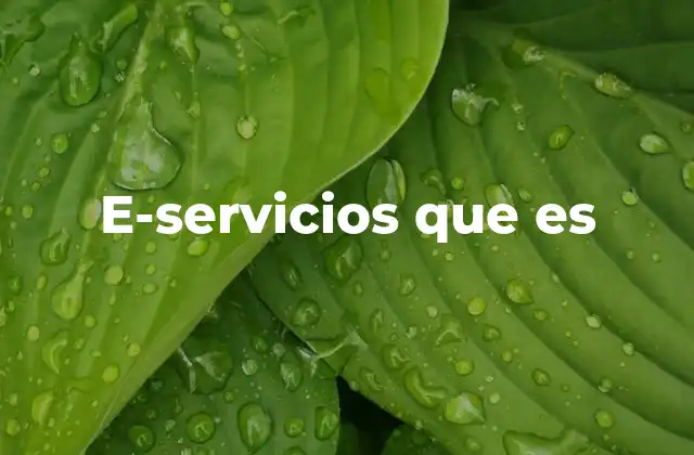 E-servicios que es