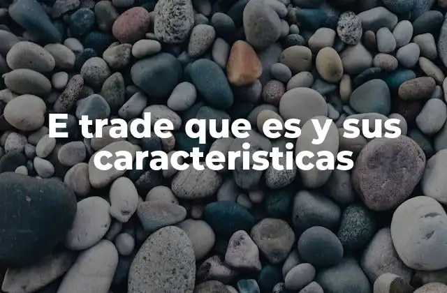 E Trade que es y Sus Caracteristicas