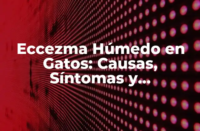 Eccezma Húmedo en Gatos: Causas, Síntomas y Tratamiento