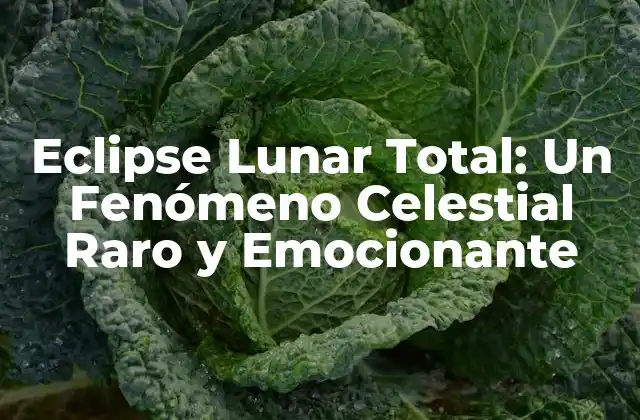 Eclipse Lunar Total: un Fenómeno Celestial Raro y Emocionante
