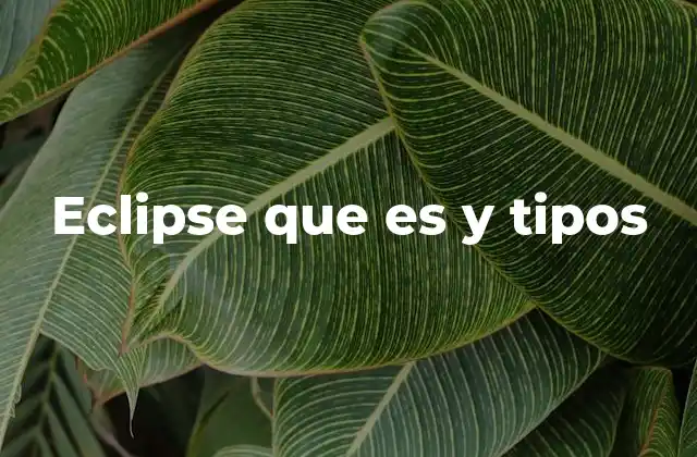 Eclipse que es y Tipos