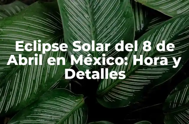 Eclipse Solar Del 8 de Abril en México: Hora y Detalles