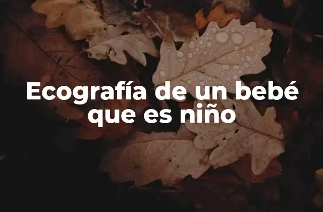 Ecografía de un Bebé que es Niño
