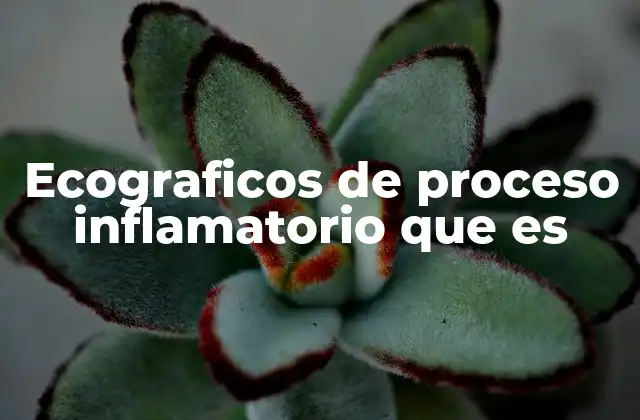 La importancia de la ecografía en el diagnóstico de inflamaciones