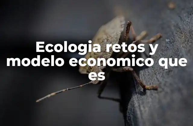 Ecologia Retos y Modelo Economico que es