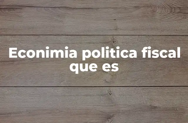 Econimia Politica Fiscal que es