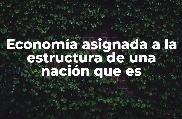 Economía Asignada a la Estructura de una Nación que es
