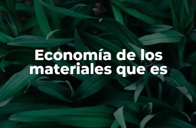 Economía de los Materiales que es