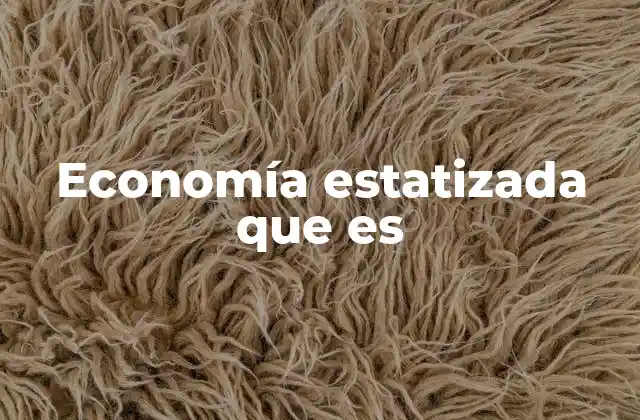 Economía Estatizada que es 2 Cómo se diferencia la economía estatizada de otras formas de organización económica