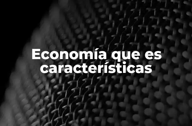 Economía que es Características