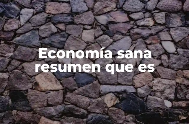 Economía Sana Resumen que es