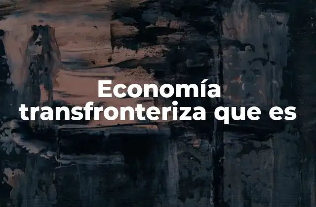 Economía Transfronteriza que es